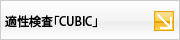 適性検査CUBIC